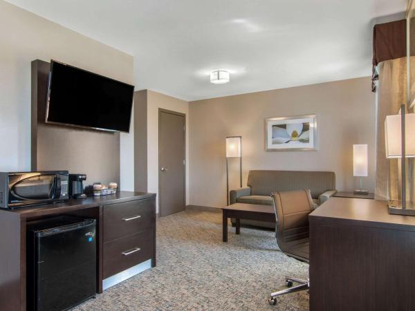 Clarion Inn & Suites Atlanta Downtown : photo 4 de la chambre suite lit king-size avec canapé-lit - non-fumeurs