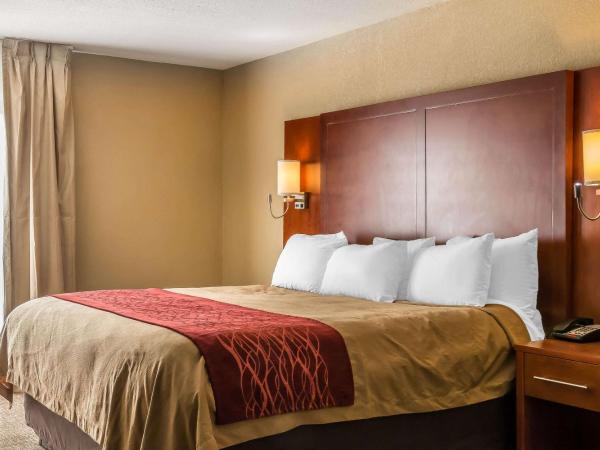 Comfort Inn Savannah : photo 6 de la chambre suite lit king-size
