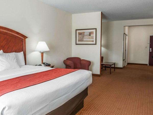 Comfort Suites near Indianapolis Airport : photo 2 de la chambre suite lit king-size – non-fumeurs