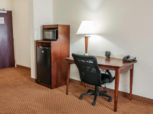 Comfort Suites near Indianapolis Airport : photo 4 de la chambre suite lit king-size – non-fumeurs