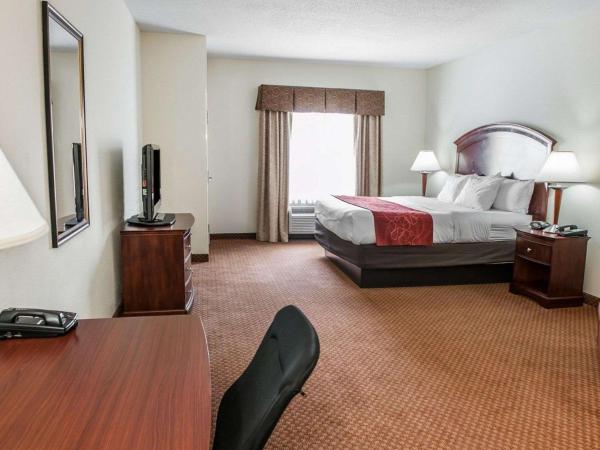 Comfort Suites near Indianapolis Airport : photo 5 de la chambre suite lit king-size – non-fumeurs