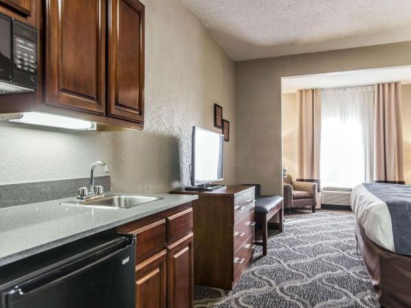 Comfort Suites Pineville - Ballantyne Area : photo 1 de la chambre suite lit king-size – non-fumeurs