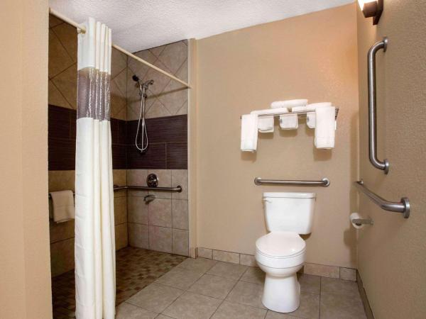 Quality Inn & Suites University Area : photo 1 de la chambre chambre lit king-size - accessible aux personnes à mobilité réduite/non-fumeurs