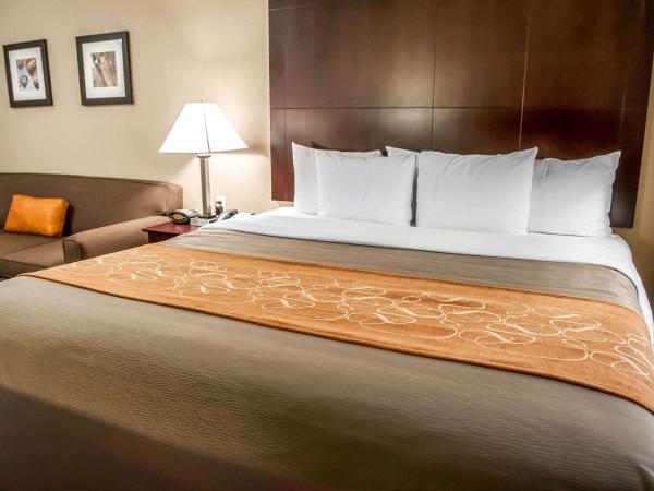 Comfort Suites North Albuquerque Balloon Fiesta Park : photo 2 de la chambre suite lit king-size – non-fumeurs