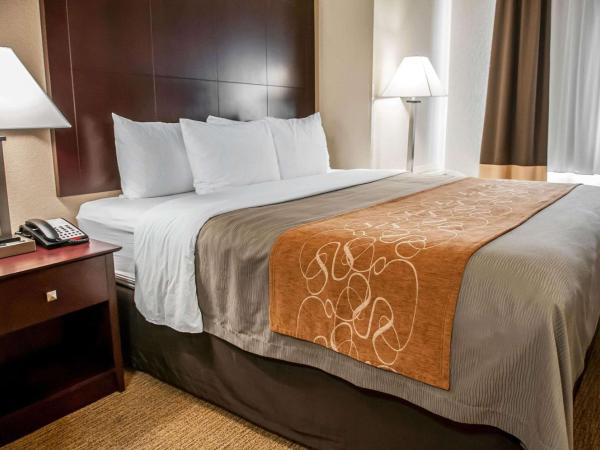 Comfort Suites North Albuquerque Balloon Fiesta Park : photo 4 de la chambre suite lit king-size – non-fumeurs