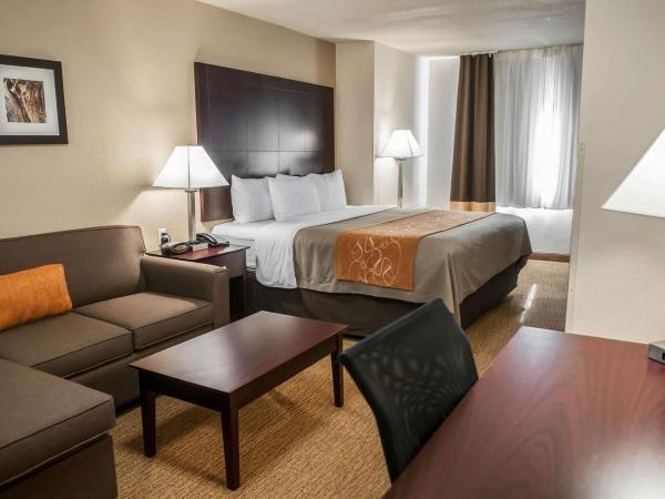 Comfort Suites North Albuquerque Balloon Fiesta Park : photo 5 de la chambre suite lit king-size – non-fumeurs