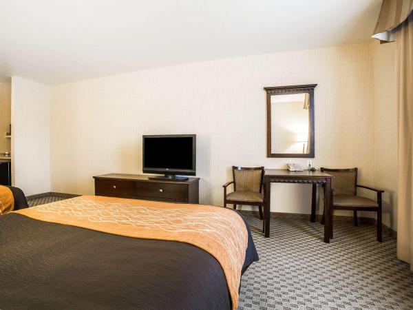 Comfort Inn & Suites Henderson - Las Vegas : photo 1 de la chambre chambre 2 lits queen-size - non-fumeurs