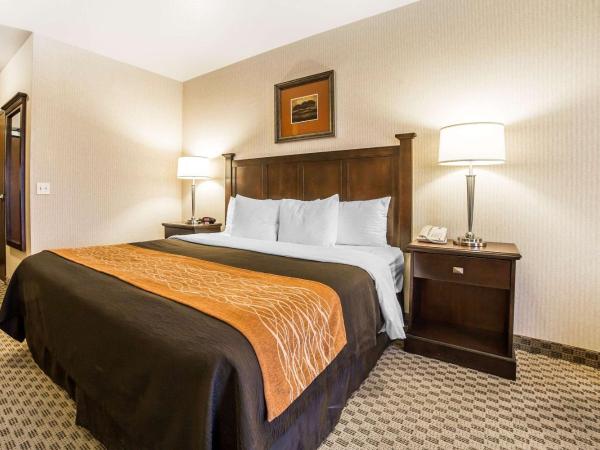 Comfort Inn & Suites Henderson - Las Vegas : photo 1 de la chambre chambre lit king-size - non-fumeurs