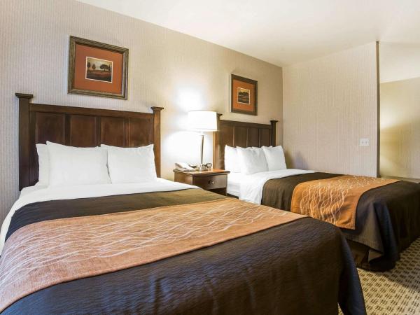 Comfort Inn & Suites Henderson - Las Vegas : photo 2 de la chambre suite lit queen-size – non-fumeurs
