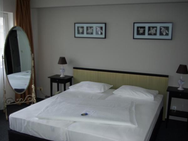 astral'Inn Leipzig Hotel & Restaurant : photo 4 de la chambre chambre familiale confort