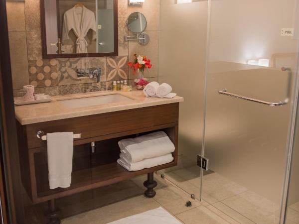 Hotel Sunderban Resort & Spa : photo 10 de la chambre chambre studio