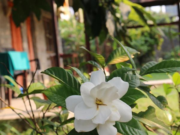 Gurkha Lodge : photo 1 de la chambre chambre lits jumeaux standard