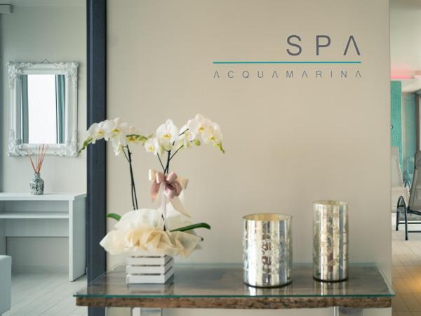 Hotel Ascot & Spa : photo 4 de la chambre chambre double ou lits jumeaux avec accès spa