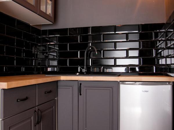 W1 Katowice : photo 3 de la chambre appartement avec douche