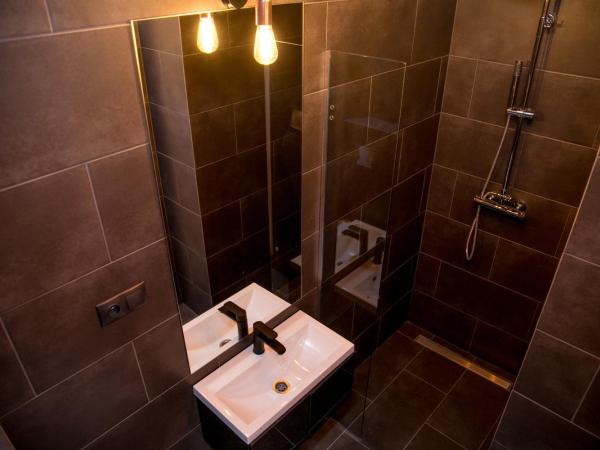 W1 Katowice : photo 5 de la chambre appartement avec douche