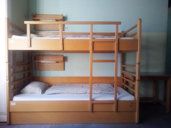 Treestyle Hostel : photo 2 de la chambre lit dans dortoir pour femmes de 8 lits