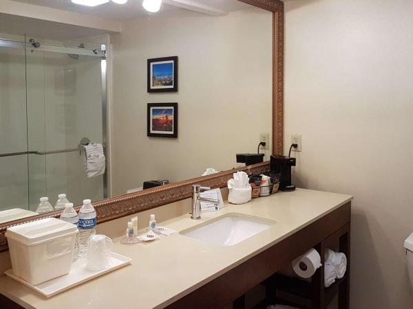 Comfort Inn I-10 West at 51st Ave : photo 5 de la chambre chambre lit king-size - non-fumeurs