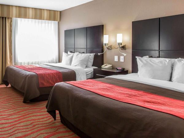 Comfort Inn Los Angeles near Hollywood : photo 1 de la chambre chambre standard avec 2 lits queen-size - non-fumeurs