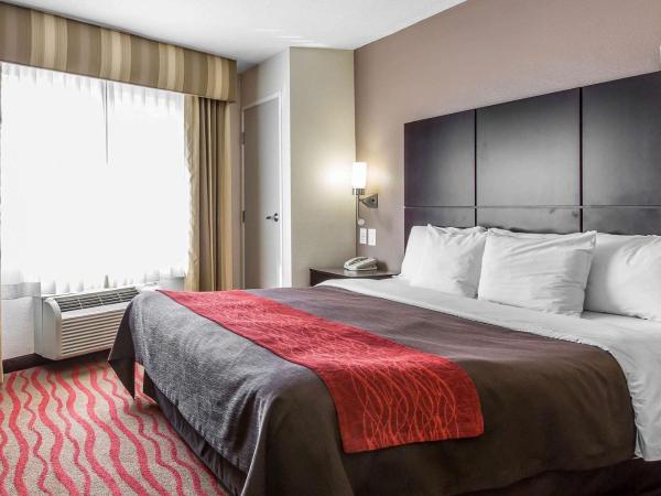 Comfort Inn Los Angeles near Hollywood : photo 4 de la chambre chambre lit king-size standard - non-fumeurs