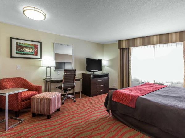 Comfort Inn Los Angeles near Hollywood : photo 3 de la chambre chambre lit king-size standard - non-fumeurs