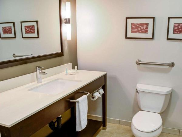 Comfort Inn & Suites Near Universal - N Hollywood - Burbank : photo 5 de la chambre suite lit king-size de luxe