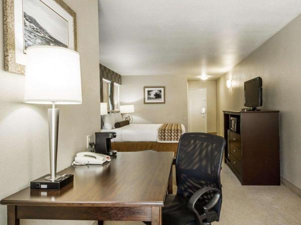 Hotel Med Park, Ascend Hotel Collection : photo 3 de la chambre chambre lit king-size standard