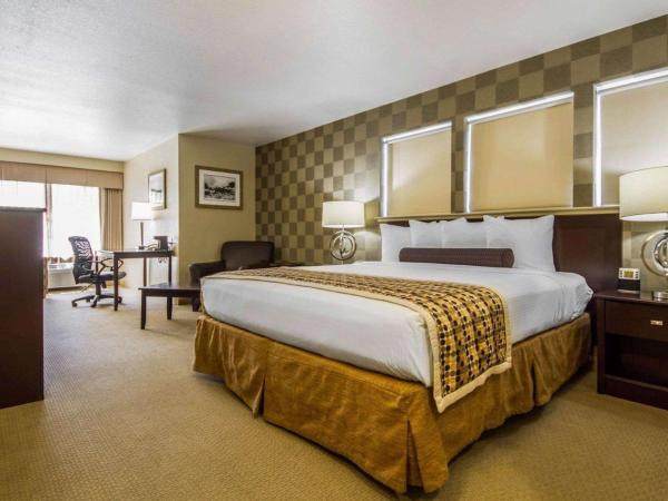 Hotel Med Park, Ascend Hotel Collection : photo 4 de la chambre chambre lit king-size standard