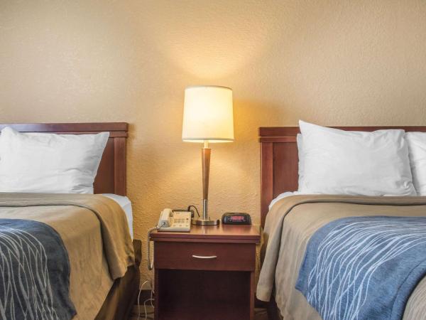 Comfort Inn : photo 2 de la chambre chambre double avec 2 lits doubles - non-fumeurs
