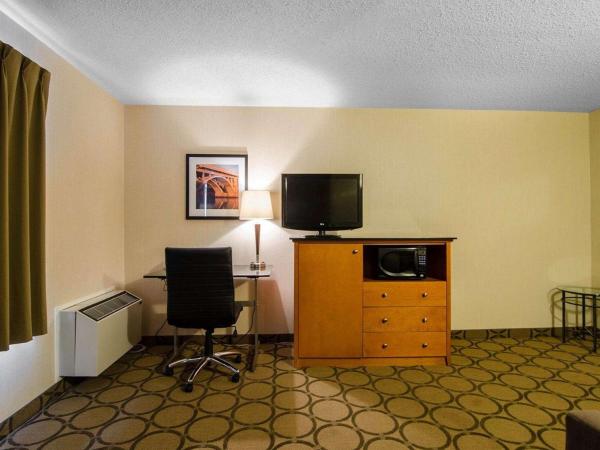Comfort Inn : photo 5 de la chambre chambre lit king-size