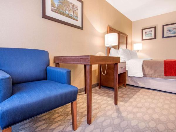 Comfort Inn Fallsview : photo 4 de la chambre chambre lit queen-size