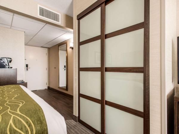 Comfort Inn & Suites : photo 2 de la chambre chambre 2 lits queen-size - non-fumeurs