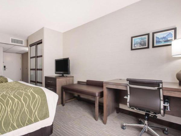 Comfort Inn & Suites : photo 4 de la chambre chambre 2 lits queen-size - non-fumeurs