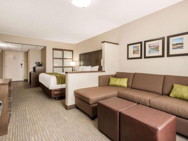 Comfort Inn & Suites : photo 1 de la chambre chambre lit king-size - non-fumeurs