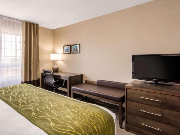 Comfort Inn & Suites : photo 8 de la chambre chambre king avec cuisine
