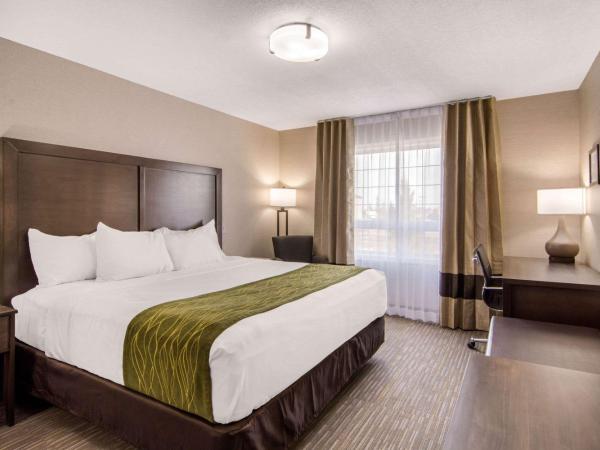 Comfort Inn & Suites : photo 7 de la chambre chambre king avec cuisine