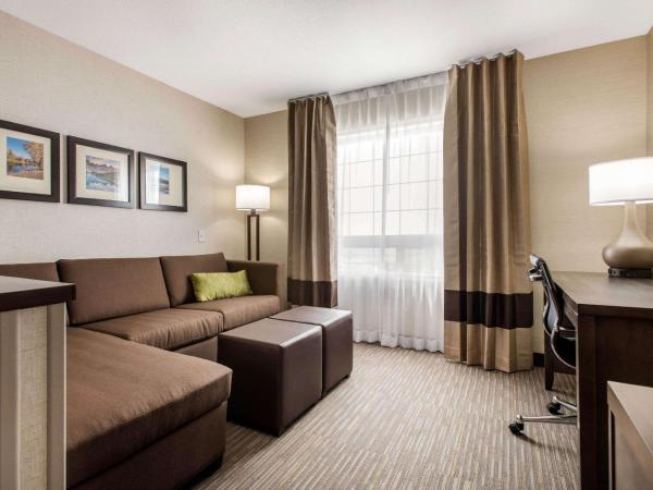 Comfort Inn & Suites : photo 2 de la chambre chambre lit king-size - non-fumeurs