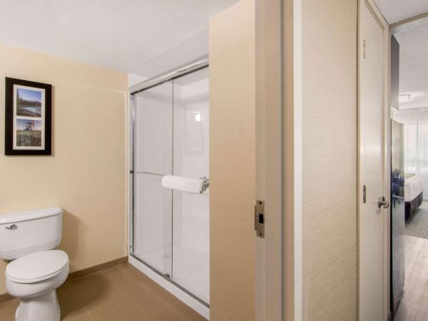 Comfort Inn & Suites : photo 5 de la chambre chambre king avec cuisine