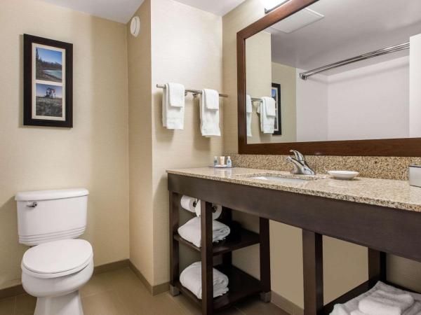 Comfort Inn & Suites : photo 3 de la chambre chambre 2 lits queen-size - non-fumeurs