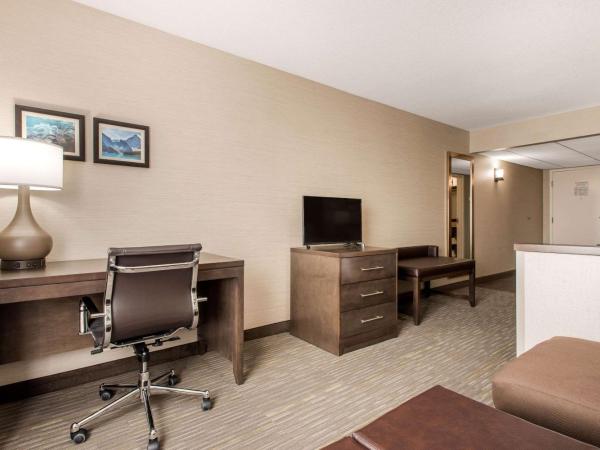 Comfort Inn & Suites : photo 3 de la chambre chambre lit king-size - non-fumeurs