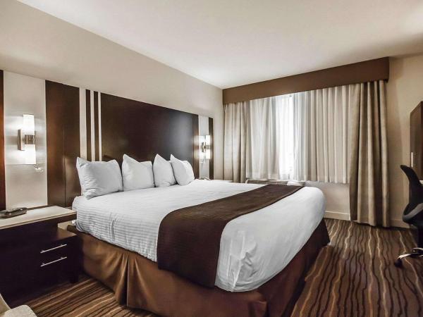 Quality Hotel Airport South : photo 2 de la chambre chambre lit king-size - non-fumeurs