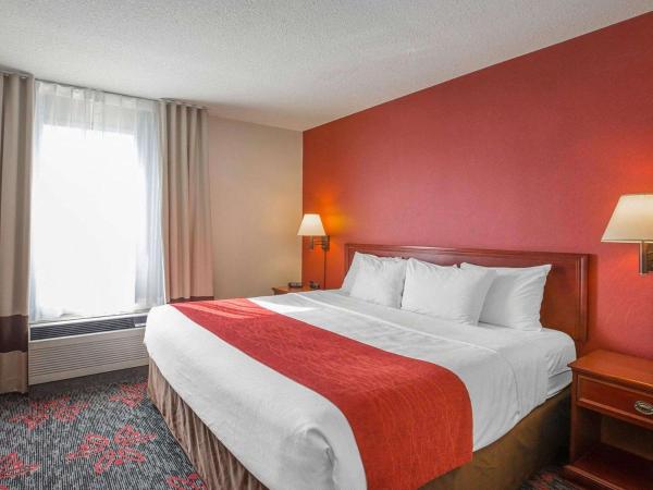 Comfort Inn & Suites University : photo 1 de la chambre suite lit king-size