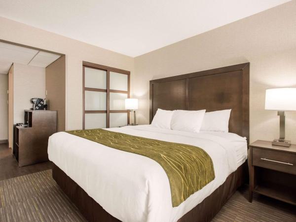 Comfort Inn & Suites : photo 4 de la chambre chambre lit king-size - non-fumeurs