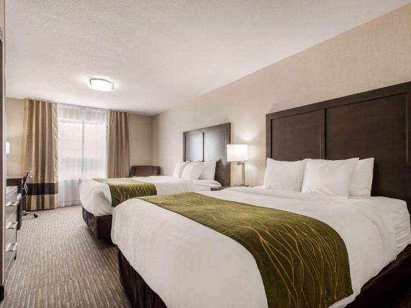 Comfort Inn & Suites : photo 5 de la chambre chambre 2 lits queen-size - non-fumeurs