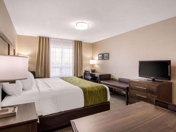 Comfort Inn & Suites : photo 3 de la chambre chambre king avec cuisine