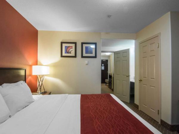 Comfort Inn & Suites Airport South : photo 1 de la chambre suite lit king-size – non-fumeurs