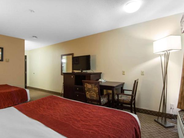 Comfort Inn & Suites Airport South : photo 2 de la chambre chambre standard avec 2 lits queen-size - non-fumeurs