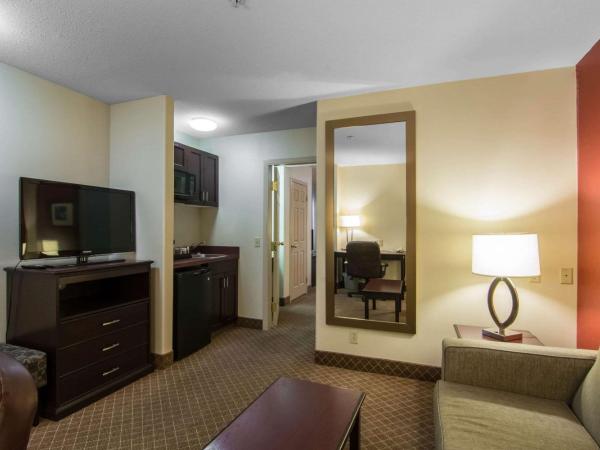 Comfort Inn & Suites Airport South : photo 2 de la chambre suite lit king-size – non-fumeurs