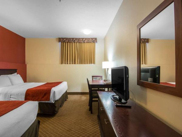 Comfort Inn & Suites Airport South : photo 3 de la chambre standard 2 queen beds (basement room)