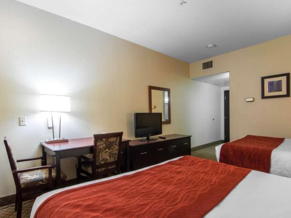 Comfort Inn & Suites Airport South : photo 4 de la chambre standard 2 queen beds (basement room)