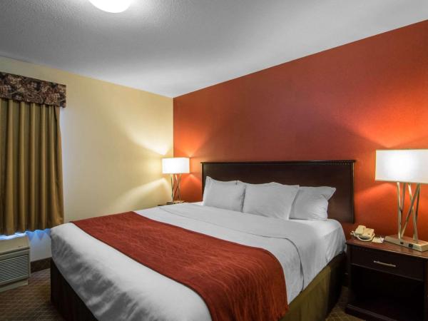Comfort Inn & Suites Airport South : photo 5 de la chambre suite lit king-size – non-fumeurs